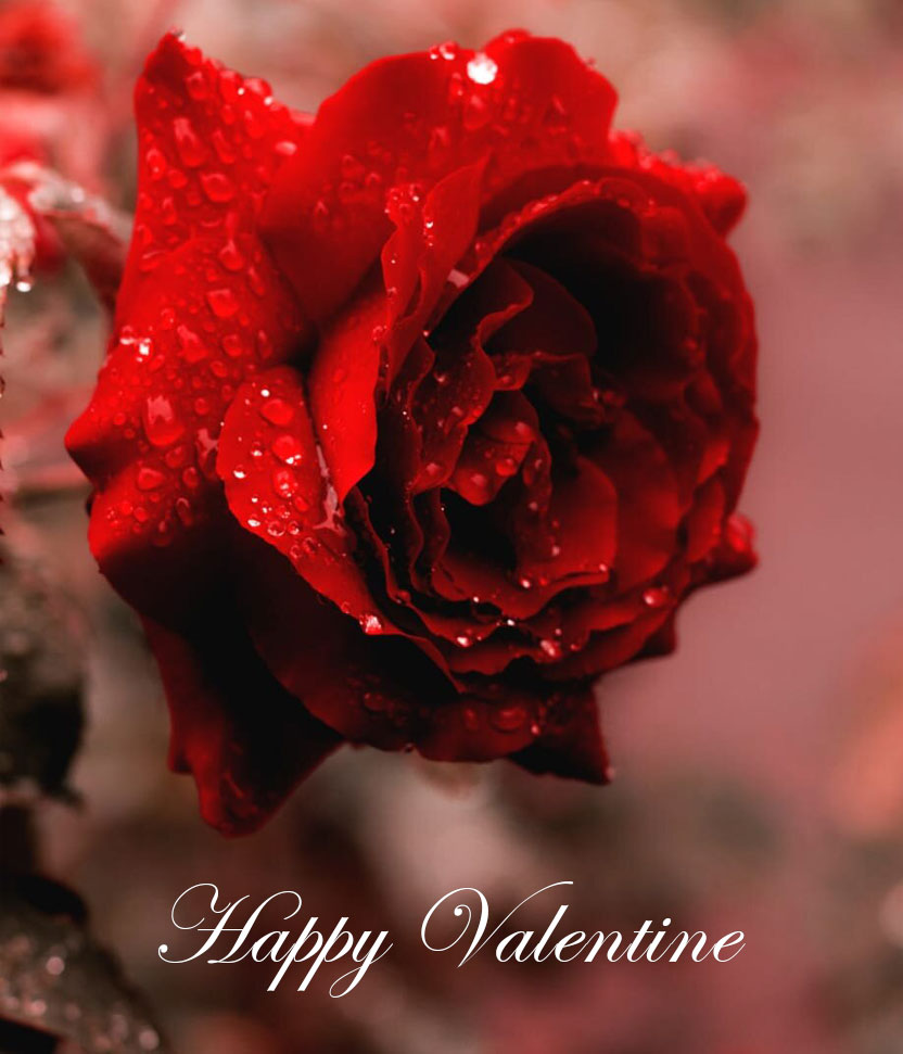 valentine-package