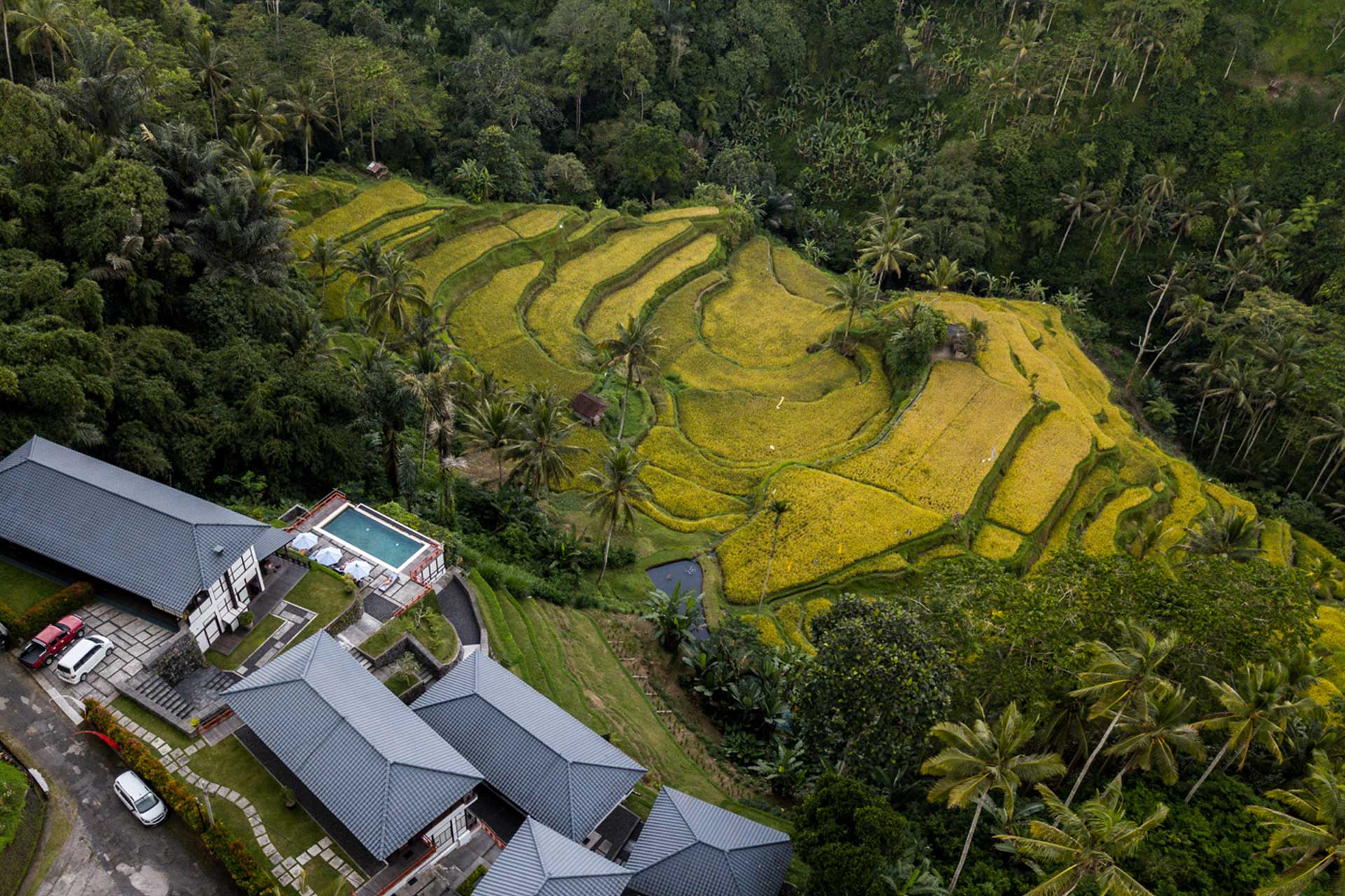 home-2